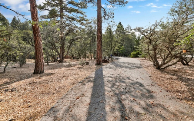 2051- Bearvenidos 4 Bedroom Home by RedAwning