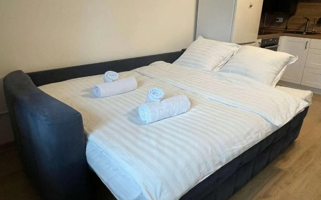 Апартаменты на улице Графская