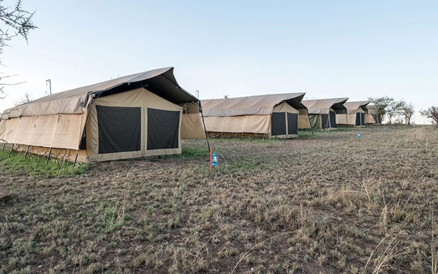 Serengeti Wildebeest Camp