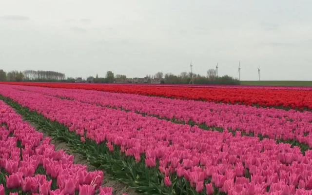 Bed & Breakfast Herkingen GR5