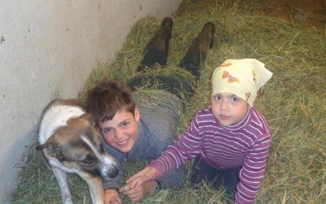 Hanserhof - Bauernhaus