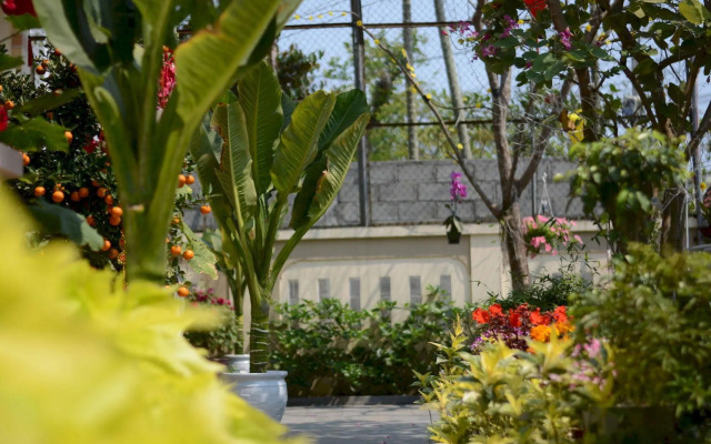 Han Thuyen Homestay