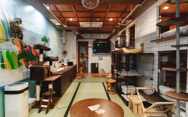 Cat Spa & Cat Ryokan Neco Republic Osaka