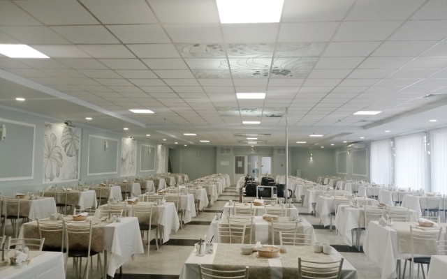 Bug Sanatorium
