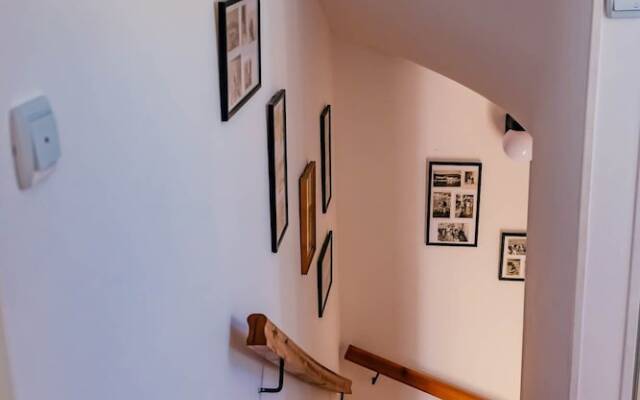 Apartments Bigovo Veljic