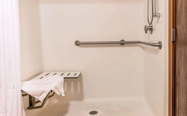 Comfort Suites Wixom