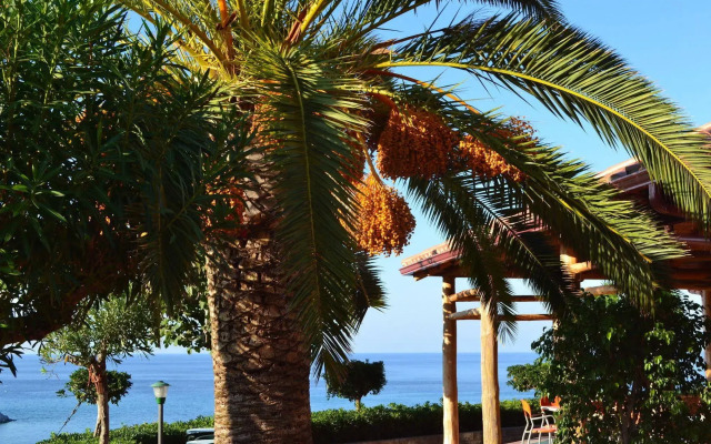 Residence New Paradise