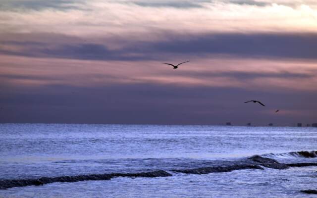 Havens #1832 2 Bedroom Condo by Redawning