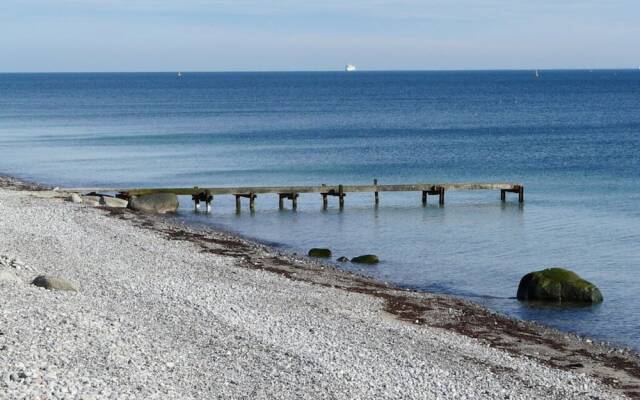 Swallow's Nest in the House by the Pond