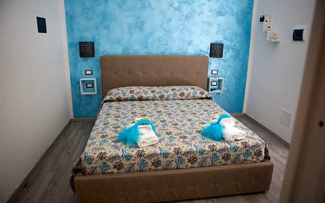 B&B Dionea