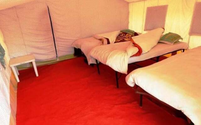 Wonderland Camps