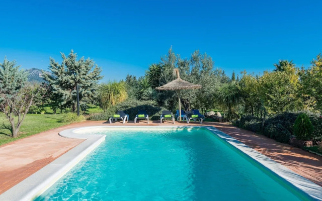 Cas Colector in Selva