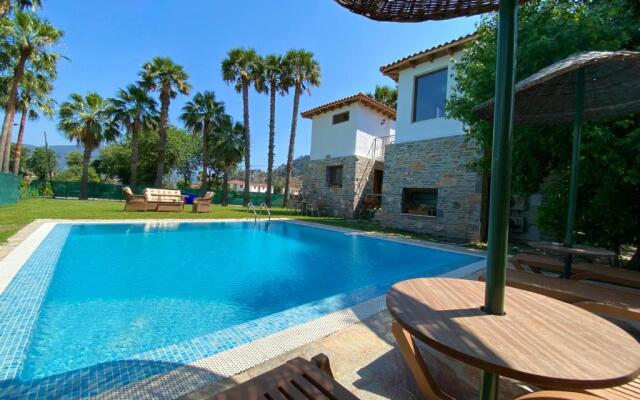 Villa Merry - Dalyan Stonehouse with Palmtrees, 50m to River