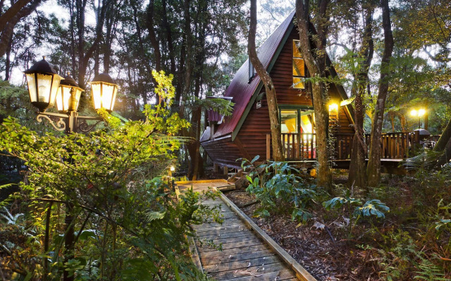 The Mouses House Rainforest Retreat