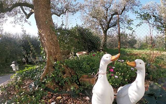 B&B Le Casette sul Garda