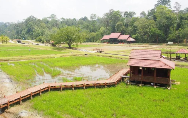 Laman Green The Boutique Hotel