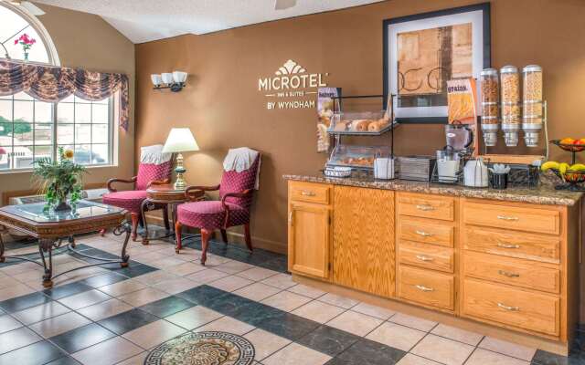 Microtel Inn & Suites by Wyndham Lincoln