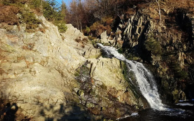 La mignonne des fagnes