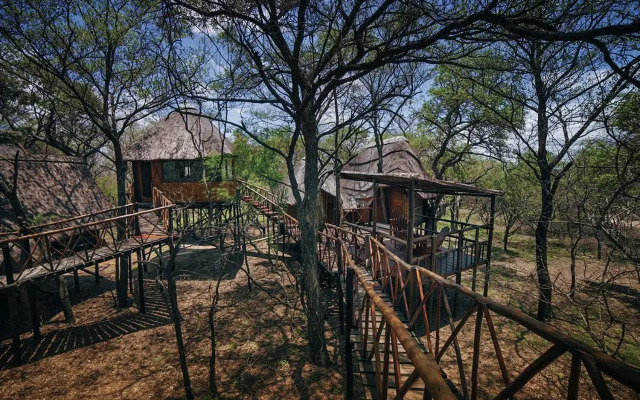 Pezulu Tree House Lodge