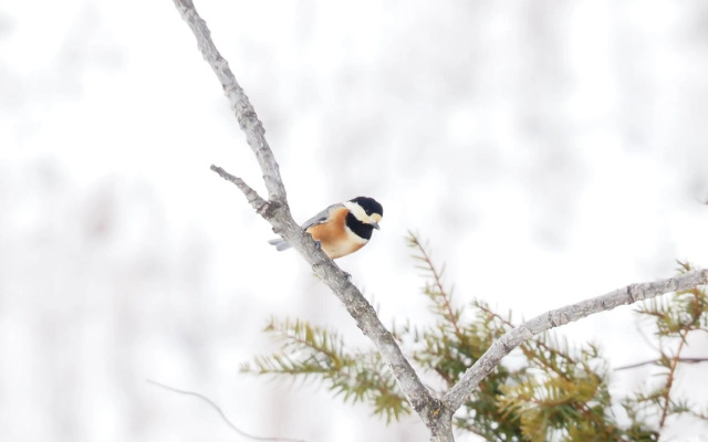 ととのうプレース