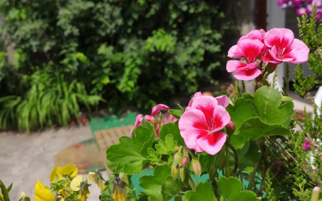 Studio Apartment Unity