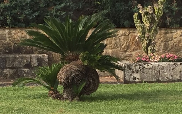 Villa Maremonti