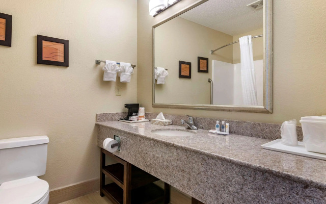 Comfort Inn & Suites Statesboro - University Area