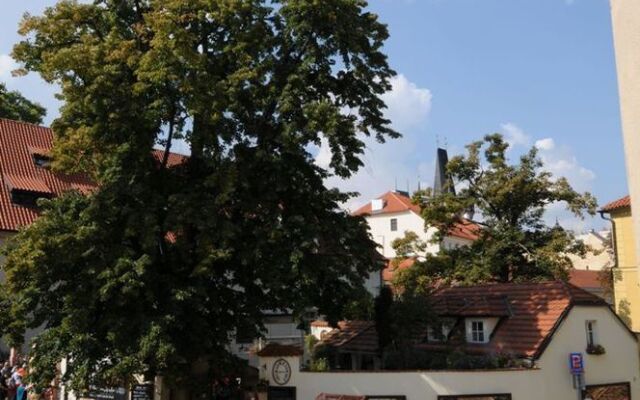 Pvh Charming Flats Hroznova