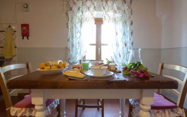 House Lilla Peccioli