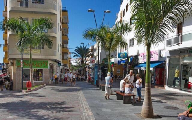 Canarian Garden Building Jardines Canarios