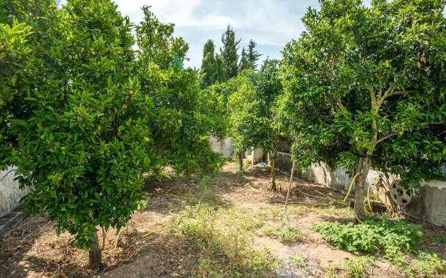 Luxurious Villa in Vejer de la Frontera With Swimming Pool