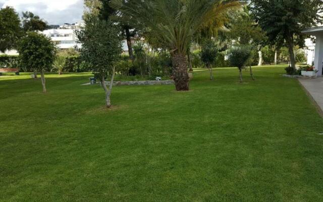 Study Near Malaga And The Beach