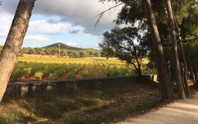 T2 à 2 minutes de la plage