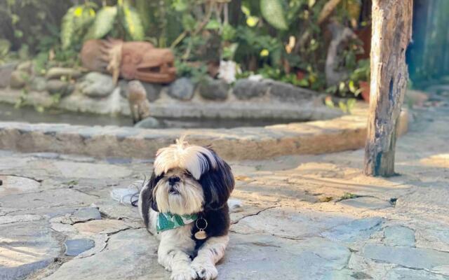 Villa Palomas A Unos Pasos De Playa La Ropa