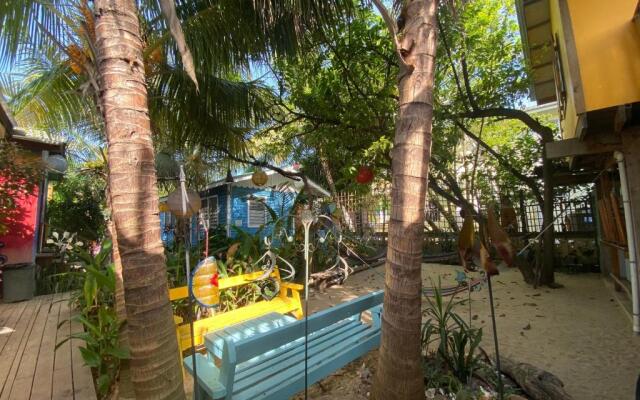 The Funky Dodo Backpackers Hostel