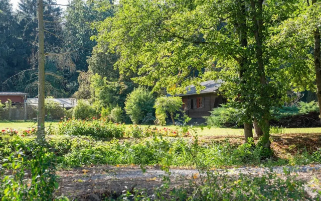 Pretty Holiday Home in Eschede Germany near Forest