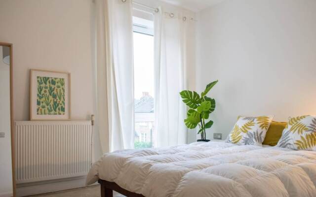 Beautiful And Cosy 1 Bed Flat in Stoke Newington