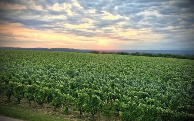 Domaine Joseph LAFARGE Wine Resort Oeno-tonneaux expérience