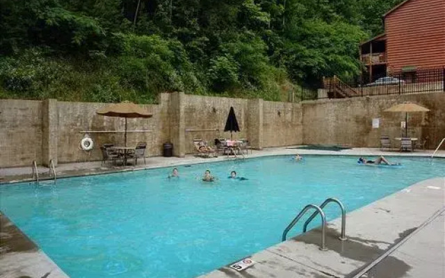 Buddy Bear 249 by Aunt Bug's Cabin Rentals