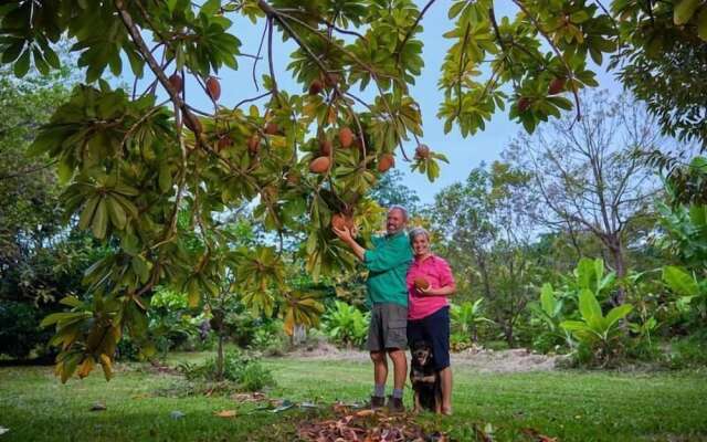 Cape Trib Farmstay