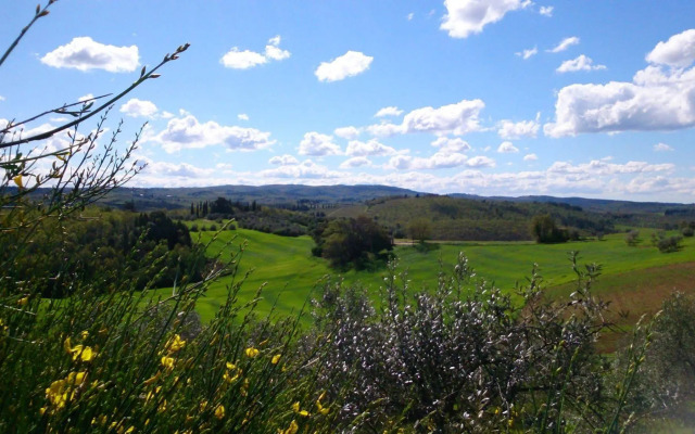 Castello Del Nero - Podere San Filippo