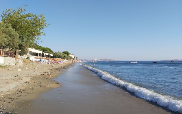Adasu Otel