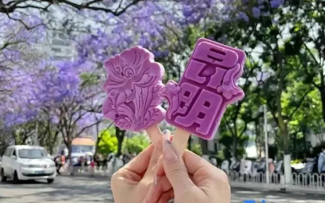 Hongdu Hotel (Kunming South High-speed Railway Station University Town)