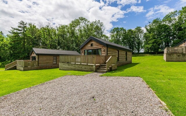 Squirrel Lodge 41 with Hot Tub, Newton Stewart