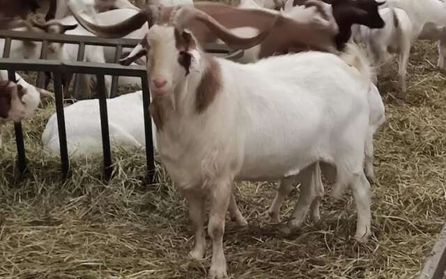 Les Chambres de la Belle Etoile