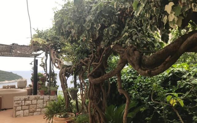 Apartment Amazing View