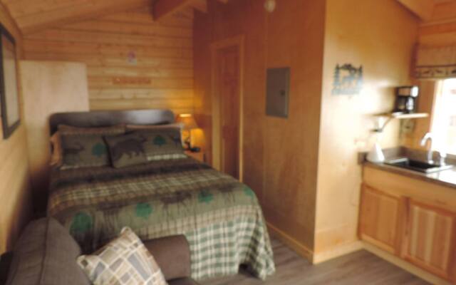 Beluga Lookout Lodge and RV Park