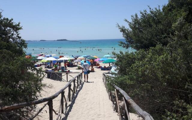 Apartment Piazza del Popolo
