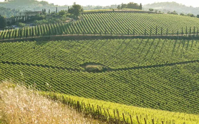 Dievole Wine Resort