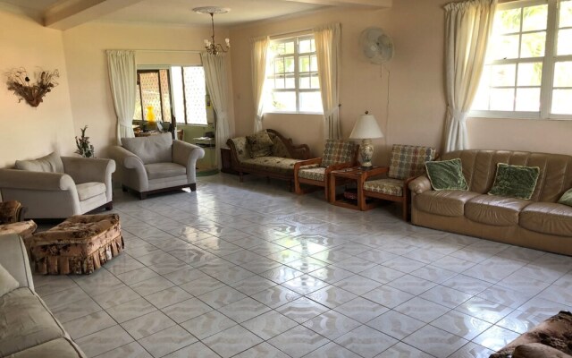 Palm Paradise Guest House and 2 Apartments